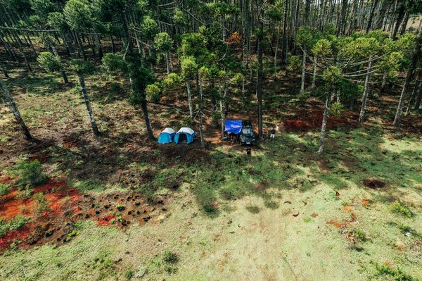 Quelles croisières proposent des ateliers de cuisine méditerranéenne avec des chefs locaux?