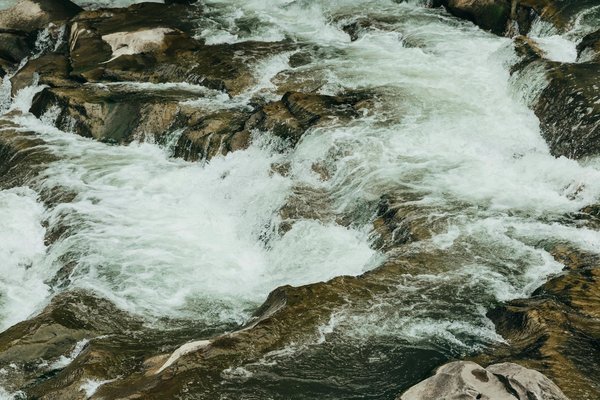 Quels sont les conseils pour un camping de survie en région de jungle amazonienne?